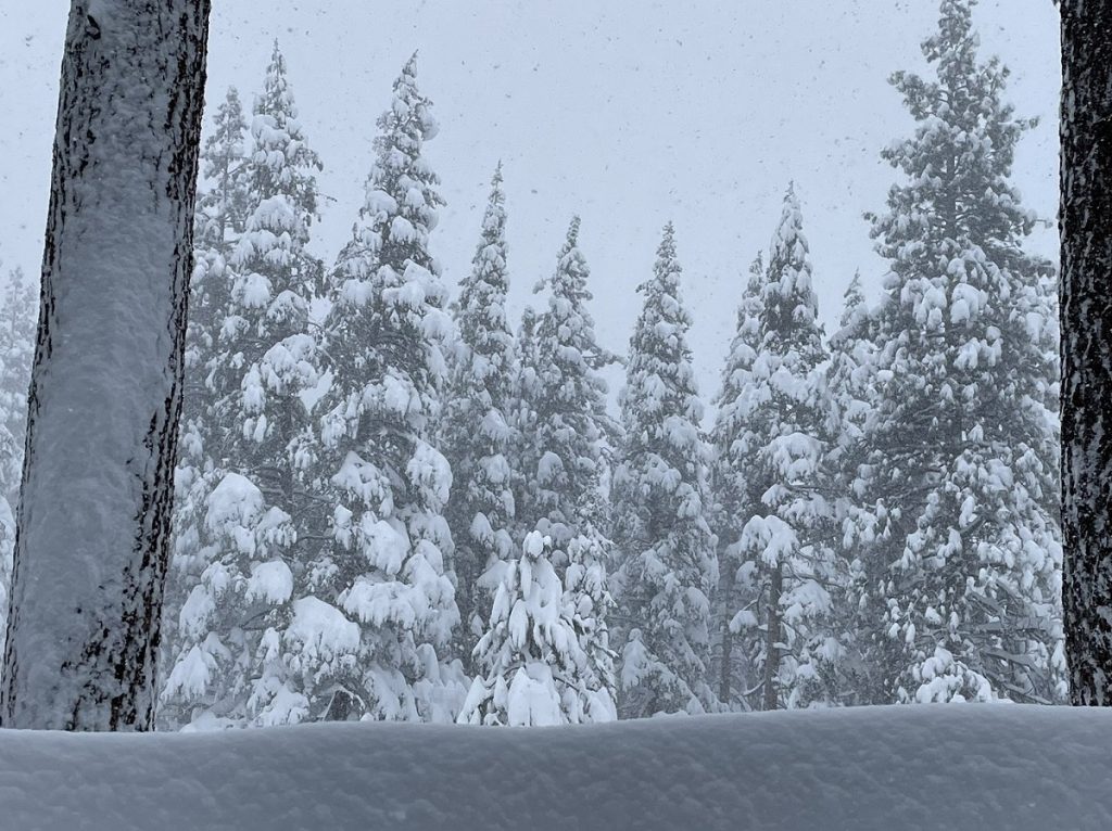 neve sierra nevada