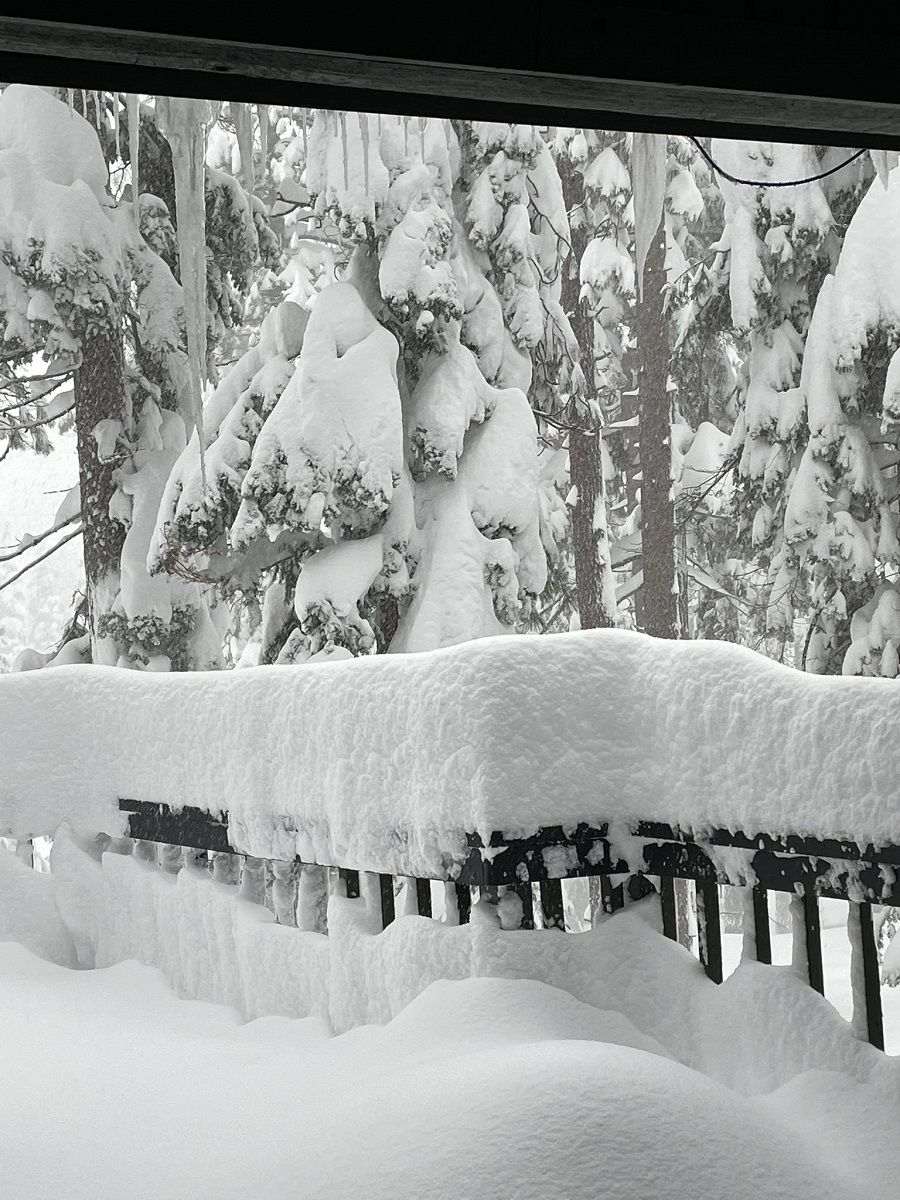 neve sierra nevada