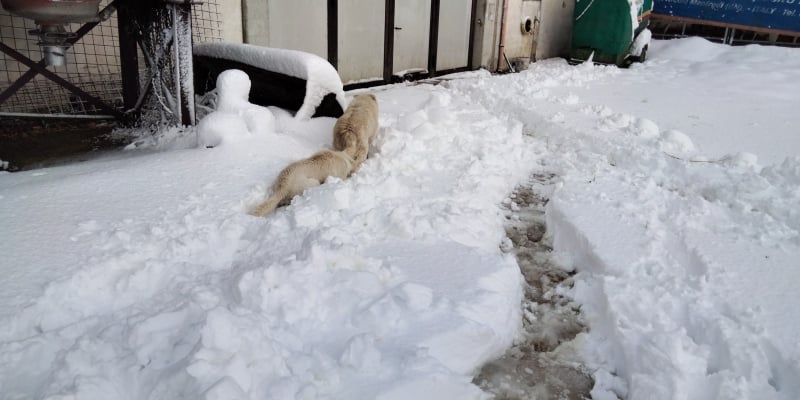 neve nel Sannio beneventano