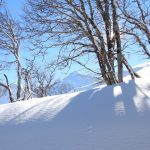 Gelo e neve, Abruzzo sotto zero nella notte: picchi da -19°C a -6°C – FOTO