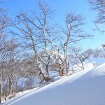 Gelo e neve, Abruzzo sotto zero nella notte: picchi da -19°C a -6°C – FOTO