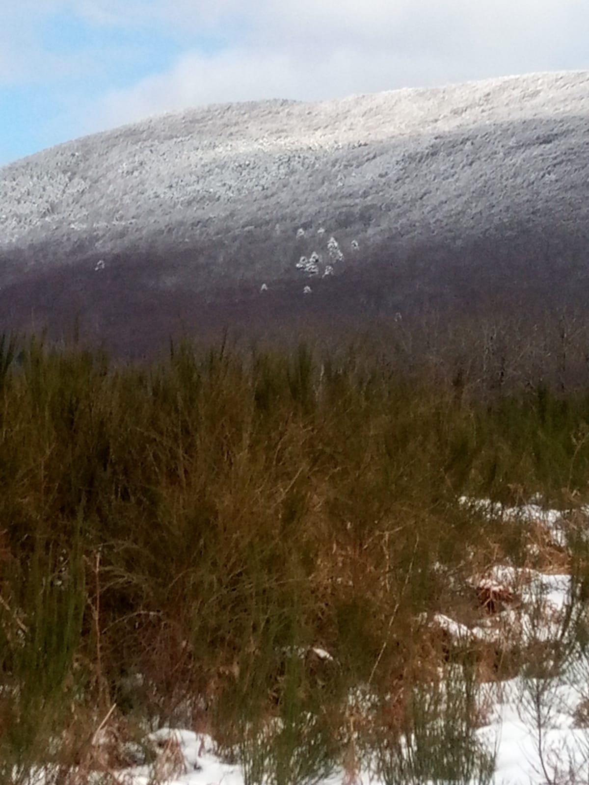 gambarie d'aspromonte 12 gennaio 2022