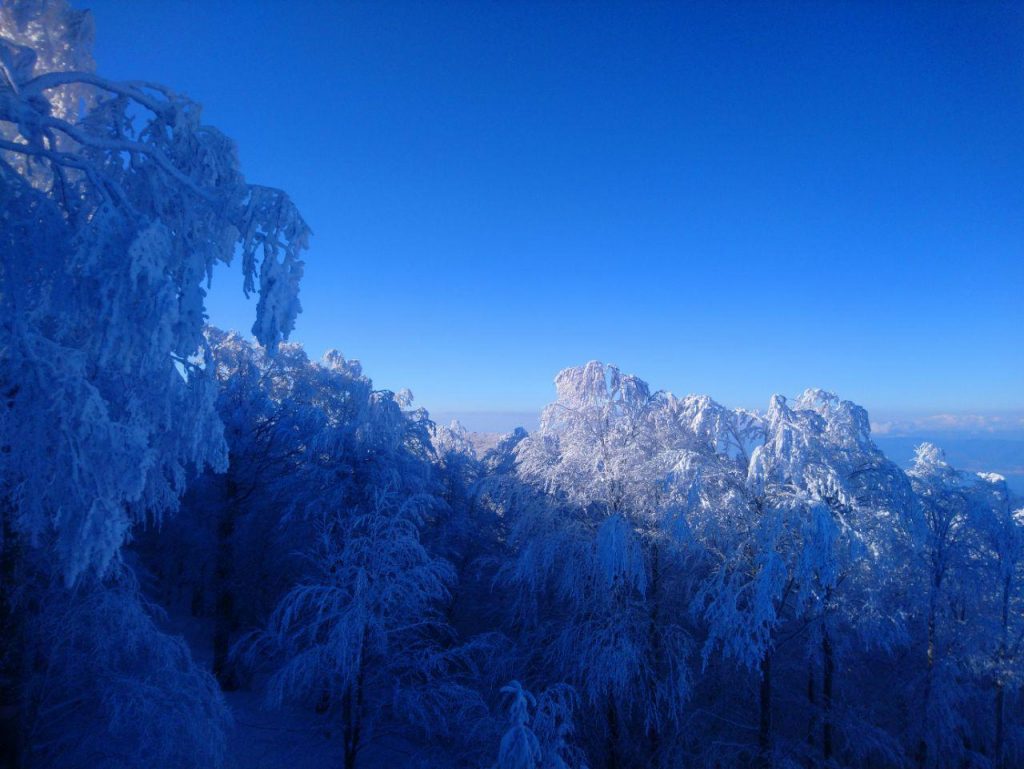 gambarie d'aspromonte 12 gennaio 2022