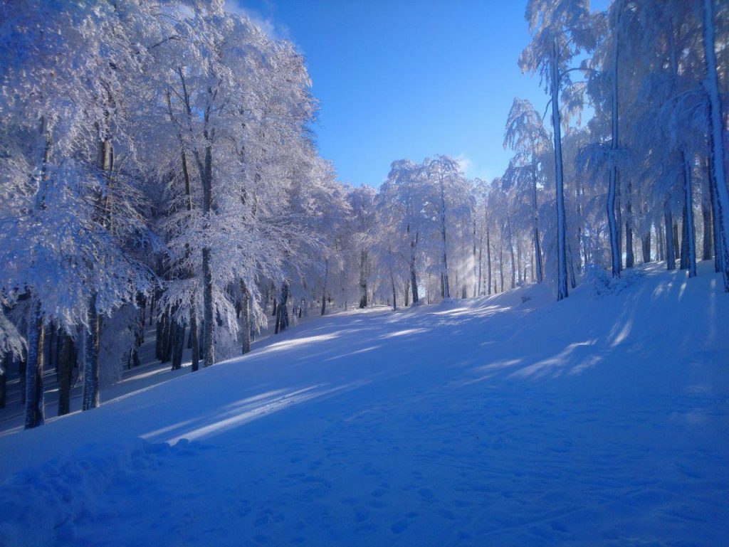 gambarie d'aspromonte 12 gennaio 2022