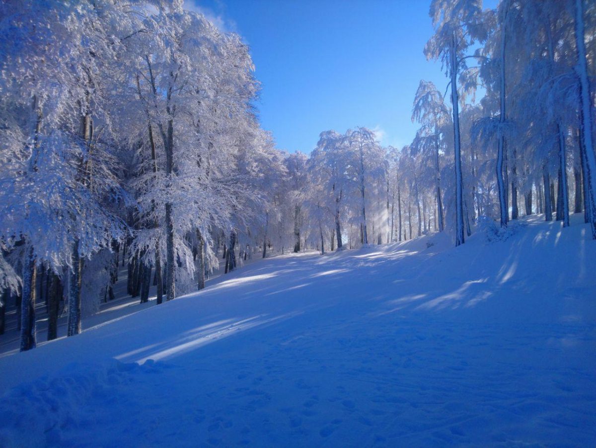 gambarie d'aspromonte 12 gennaio 2022