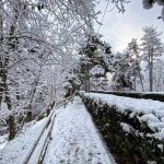 Maltempo e tanta neve in Abruzzo: risveglio fiabesco a L’Aquila [FOTO]