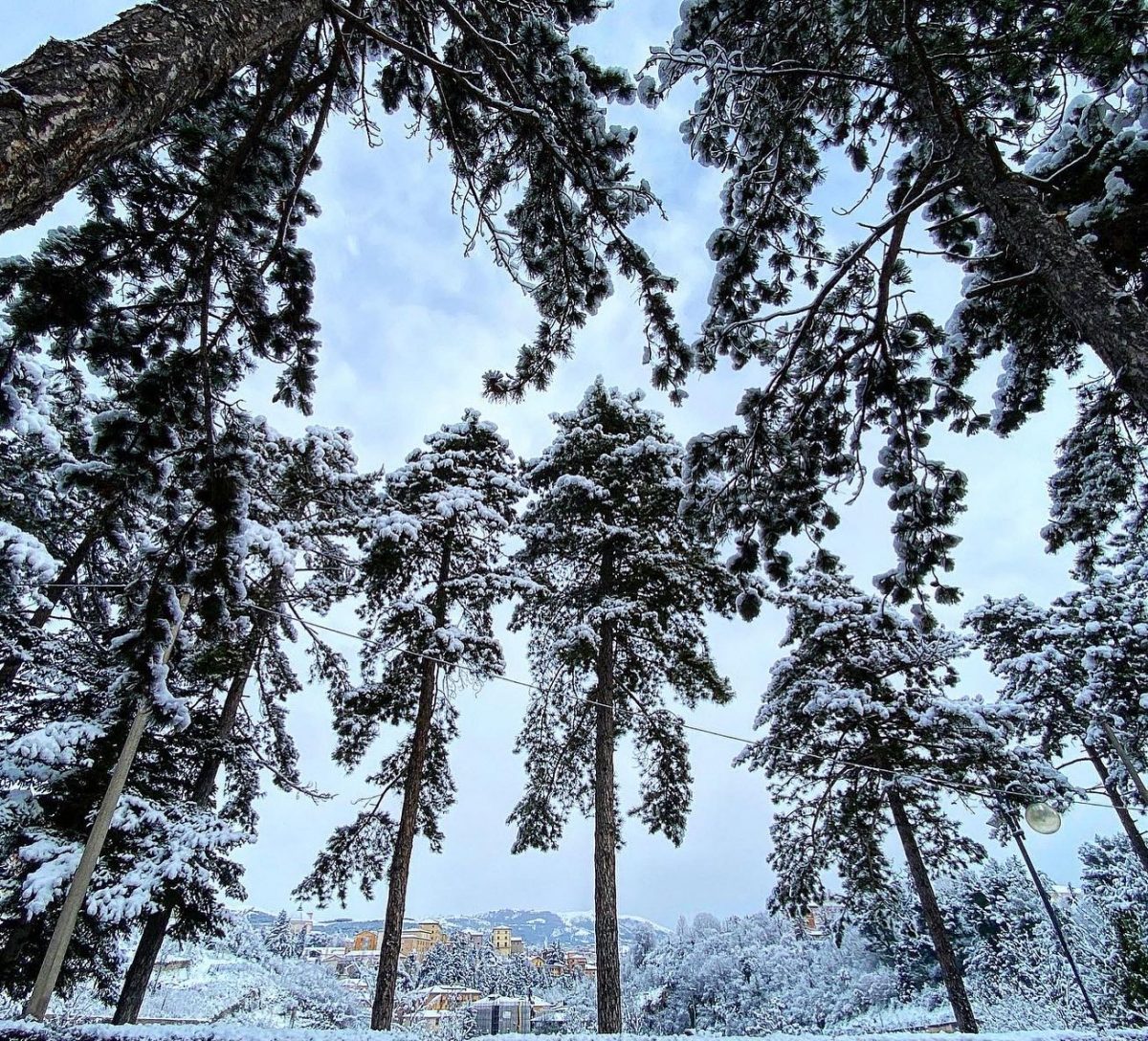 neve L'Aquila