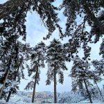 Maltempo e tanta neve in Abruzzo: risveglio fiabesco a L’Aquila [FOTO]