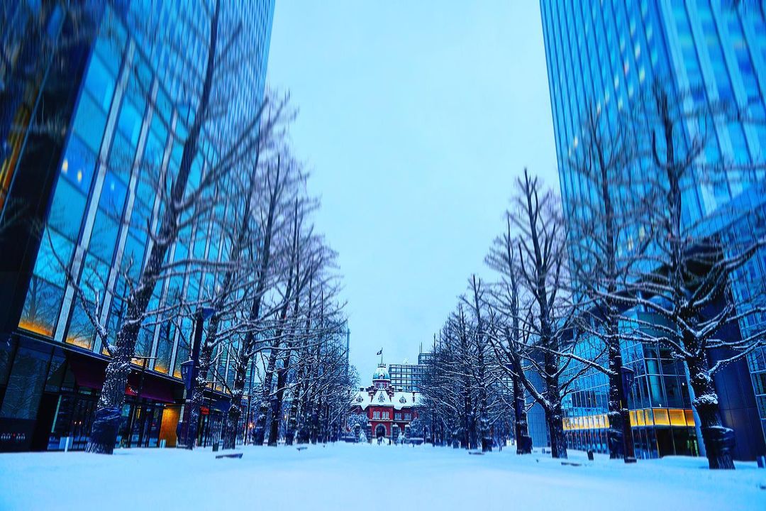 neve giappone hokkaido