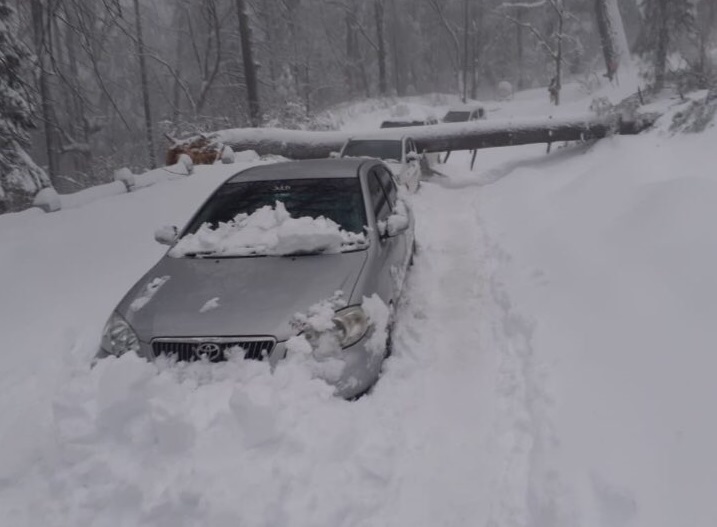 neve pakistan