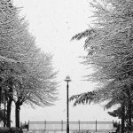 Maltempo e neve in Basilicata, i fiocchi imbiancano Potenza [FOTO]