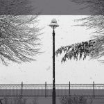 Maltempo e neve in Basilicata, i fiocchi imbiancano Potenza [FOTO]