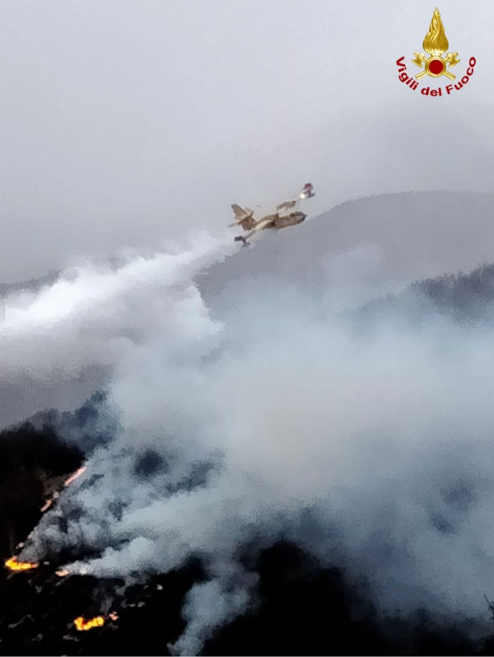 incendio gurro piemonte