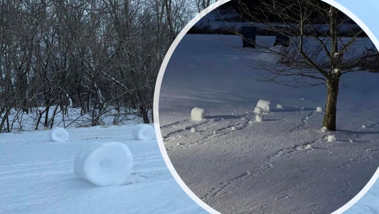 snow roller michigan