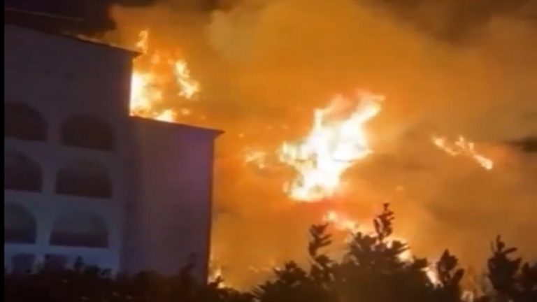 incendio fuscaldo calabria (5)