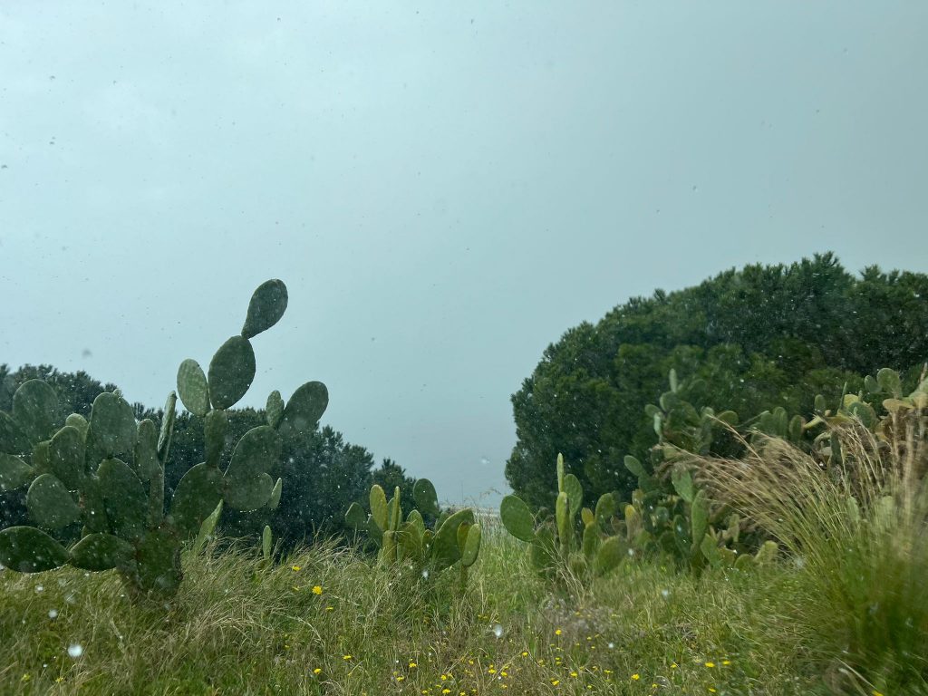 maltempo reggio calabria 31 marzo 2022