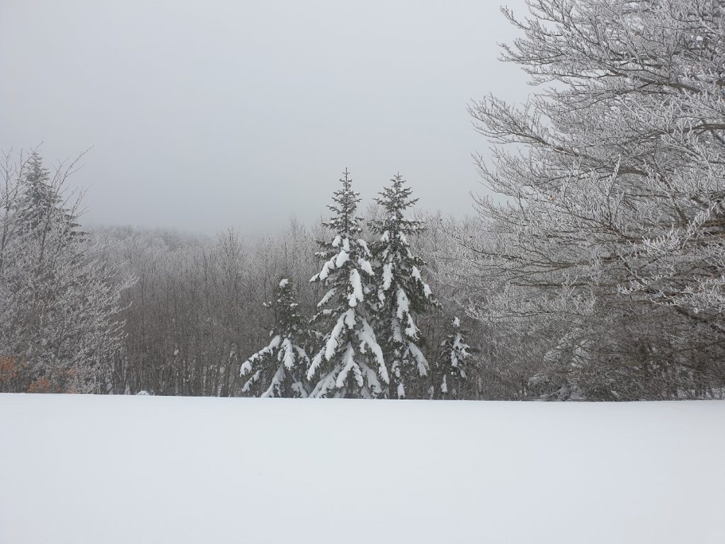 neve aspromonte 13 marzo 2022