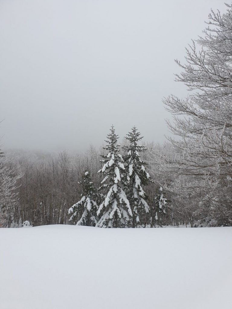 neve aspromonte 13 marzo 2022