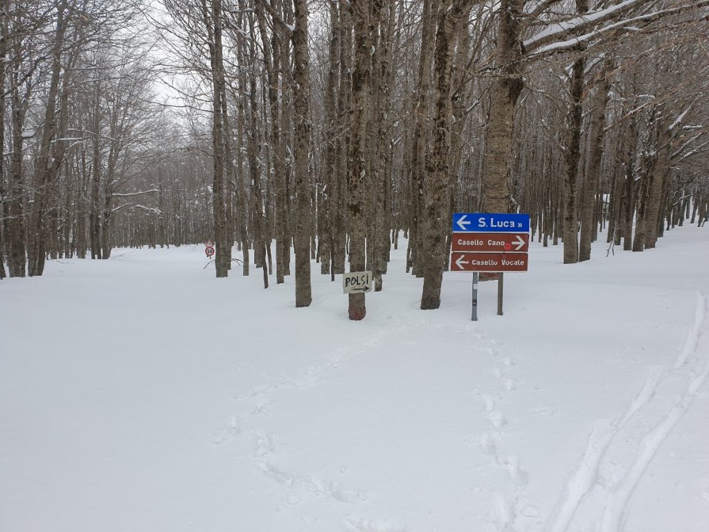 neve aspromonte 13 marzo 2022