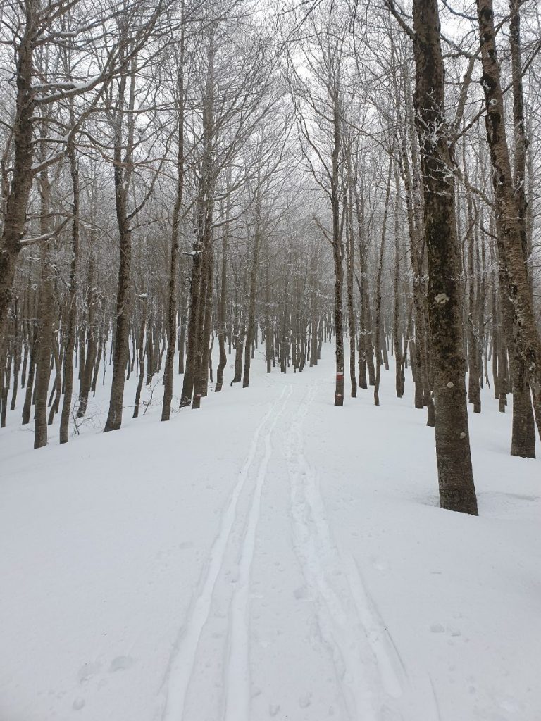 neve aspromonte 13 marzo 2022