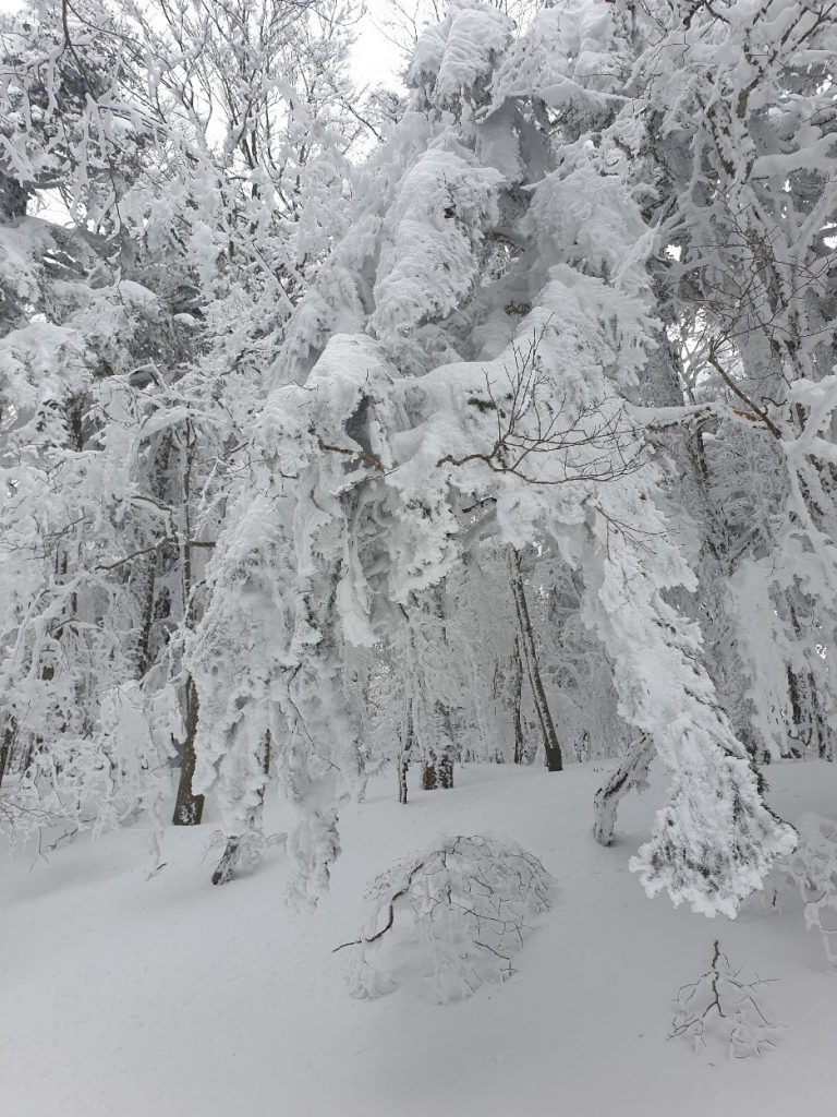 neve aspromonte 13 marzo 2022