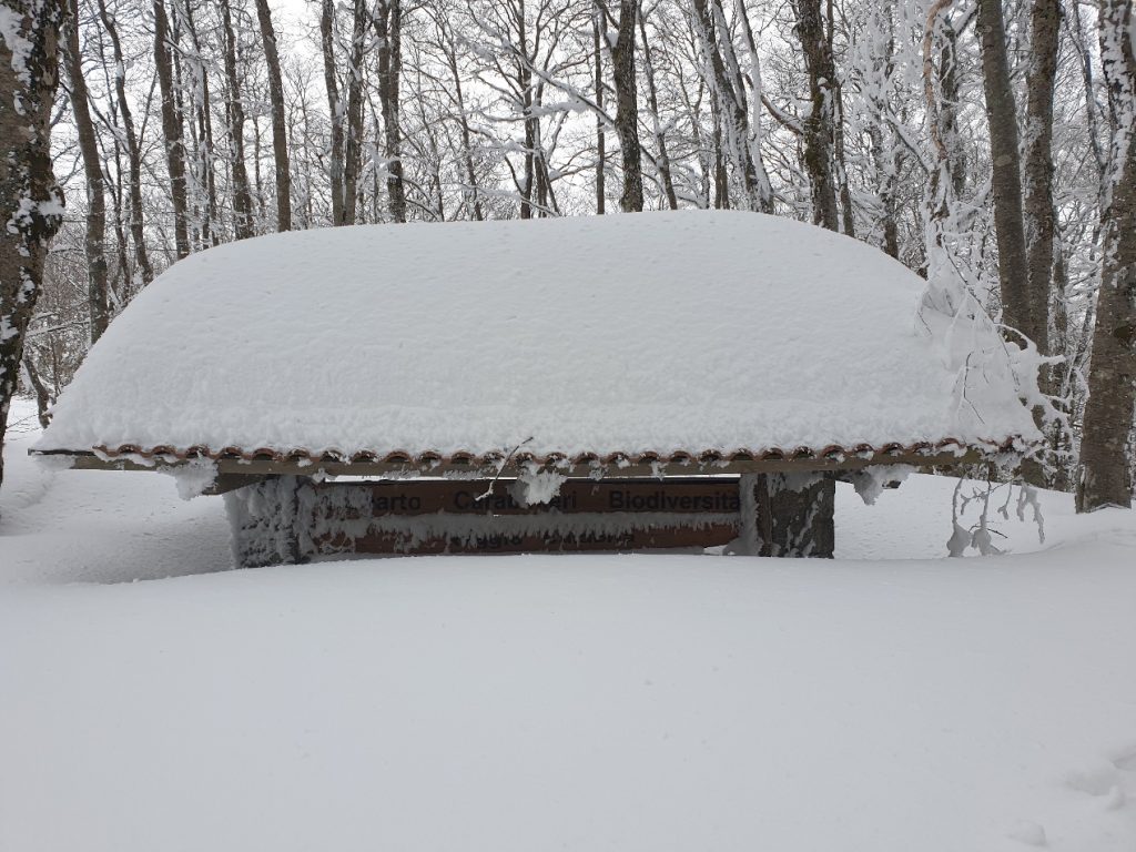 neve aspromonte 13 marzo 2022