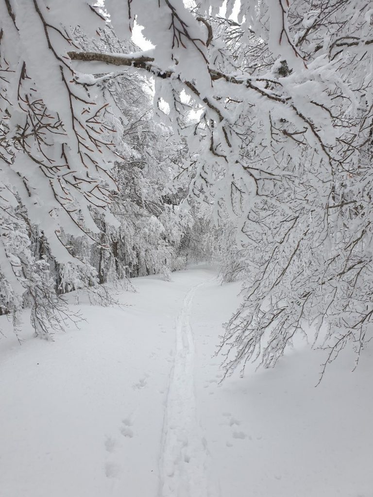 neve aspromonte 13 marzo 2022