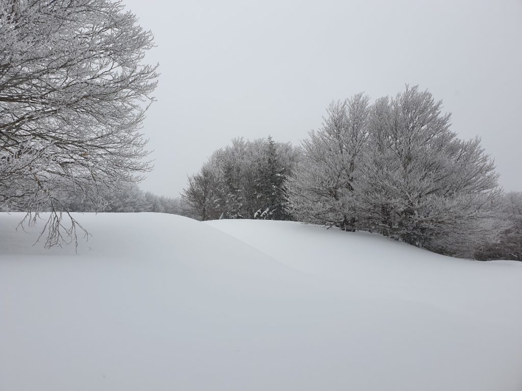 neve aspromonte 13 marzo 2022