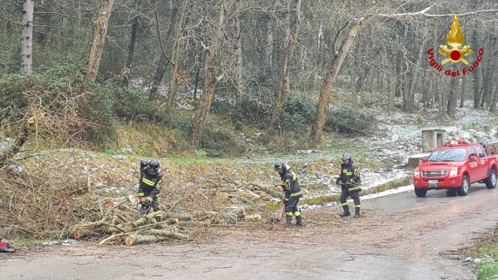 neve mistretta albero caduto