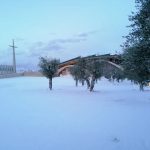 Maltempo e neve, risveglio imbiancato in Puglia: scorci fiabeschi a Lucera e San Giovanni Rotondo, fiocchi anche a Ostuni e Andria [FOTO e VIDEO]