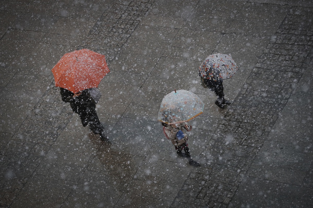 neve pamplona