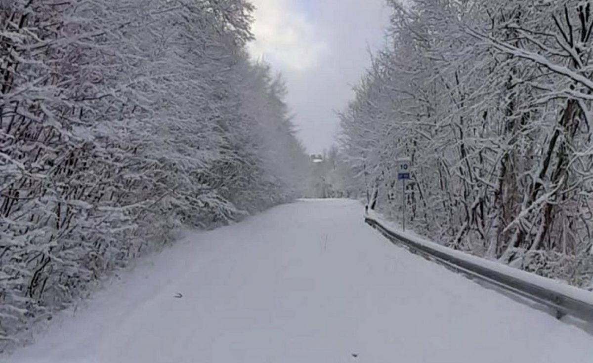 neve Frosinone