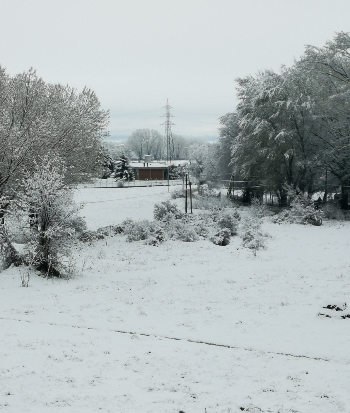 neve avezzano