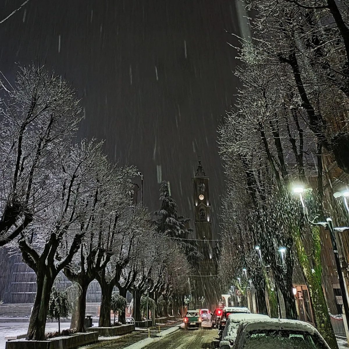 neve avezzano