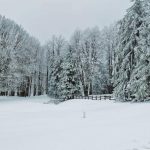 Maltempo Lazio: abbondante nevicata sul Monte Livata, imbiancati i Castelli Romani | FOTO