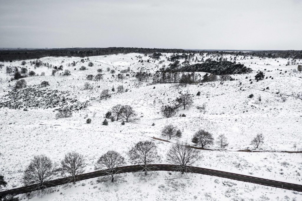 neve paesi bassi