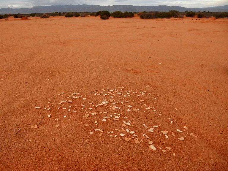 Deserto australiano