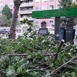 Maltempo Piemonte: a Torino automobili danneggiate da un albero sradicato | FOTO