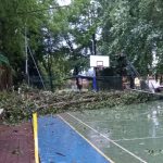 Maltempo Piemonte: forti grandinate e alberi abbattuti nella serata di ieri | FOTO e VIDEO