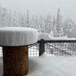 Dai +30°C alla neve in poche ore: il Colorado ripiomba in inverno | FOTO