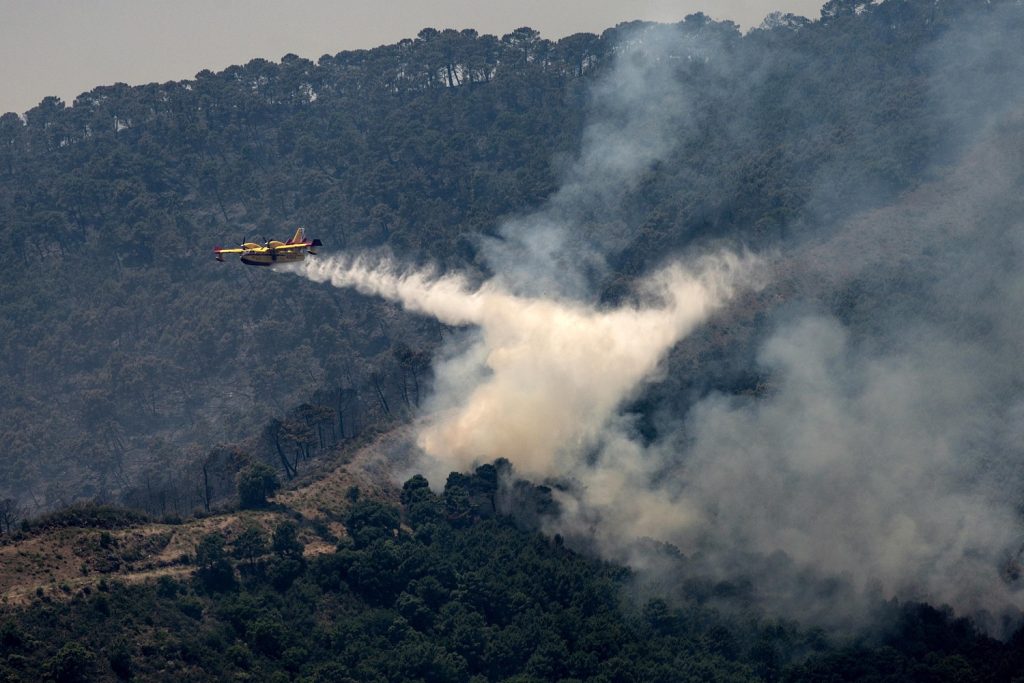 incendio sierra bermeja spagna