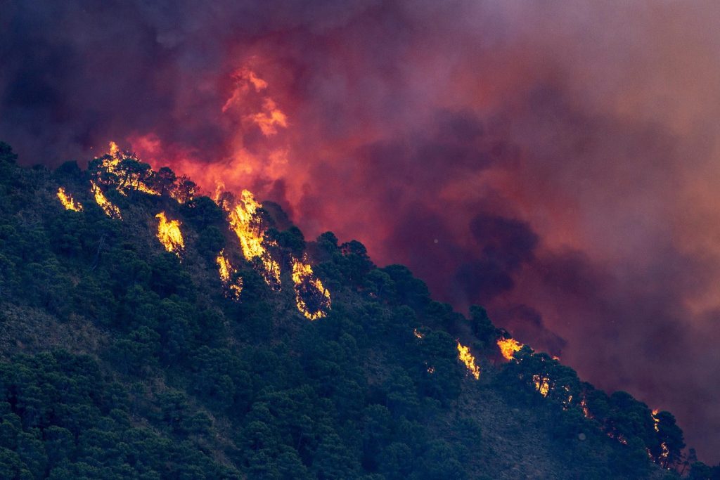 incendio sierra bermeja spagna