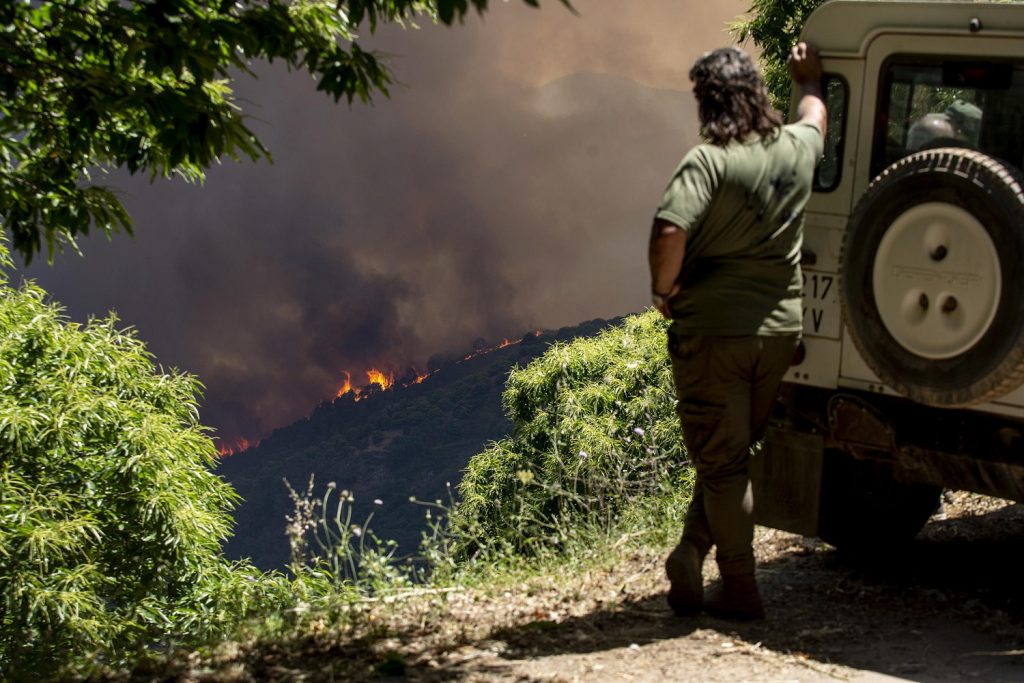 incendio sierra bermeja spagna