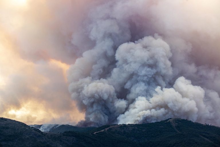 incendio sierra bermeja spagna