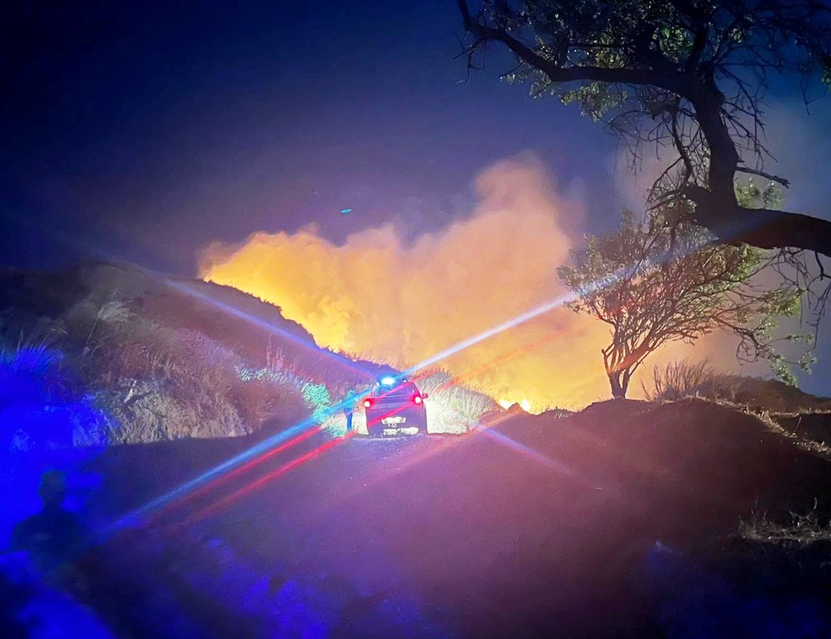 incendio reggio calabria 12 giugno 2022