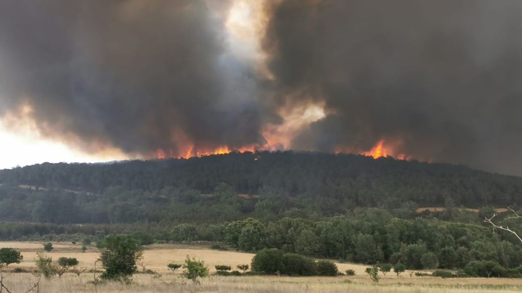 incendio sierra de la culebra spagna