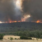 Devastanti incendi in Spagna: un rogo ha incenerito 20mila ettari nella Sierra de la Culebra | FOTO e VIDEO