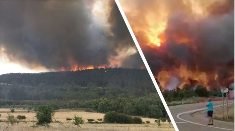 incendio sierra de la culebra spagna