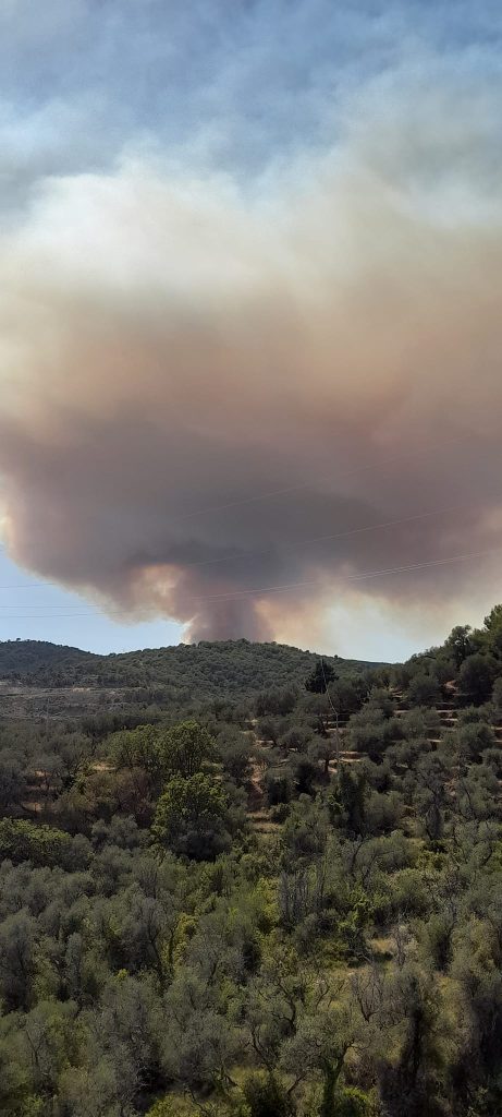 incendio taggia liguria