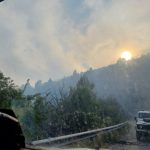 Incendio sul Gargano: in fiamme 20 ettari di macchia mediterranea | FOTO